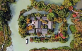 又见西溪芦花白,空中国宝群飞来