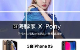 引领中国会员消费，海豚家如何构建了巨大的商机？