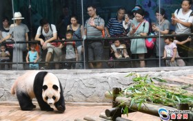 吃家宴、赏圆月、去旅游……我们这样迎中秋