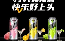 雷军与林木勤：别人抄不走的商业模式 就藏在产品细节里