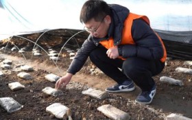 党旗映红致富路 保险托起菌中金