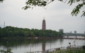 平安产险金华中心支公司：举办“5·19就要走”主题健步走活动
