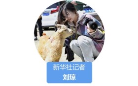 我在现场·照片背后的故事丨四川这一年，那些让我难忘的瞬间