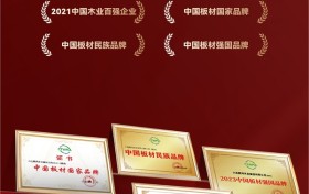 国字号双誉加冕！鹏鸿以生态板为基，多元产品矩阵领跑全国市场