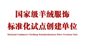 羊绒服饰消费将有国家级量化标准，标准由印象草原负责制定！