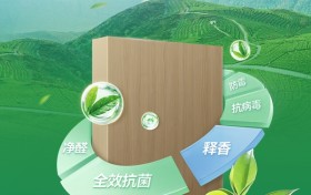 从技术突破到国家标准：鹏鸿茶香板引领板材行业环保升级