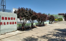 在希望的田野上：一位父亲与他的“不收费承诺”