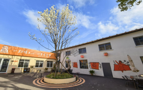 解锁工业游新姿势｜思乐得白玉兰盛放，春日打卡正当时