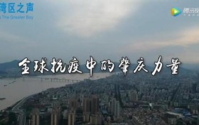 全球抗疫 源源不断的肇庆力量