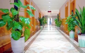 安宁疗护与医养结合 | 广州金沙洲肿瘤医院：为晚期癌症患者提供全周期照护