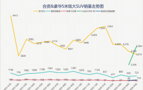 5米级SUV已成“血海”：总量增76%，但单车销量腰斩