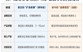 日产冻结纯电逍客