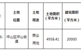 限售10年!12月27日,坪山将出让一宗商业用地