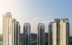 产品主义重塑深圳格局,龙华金茂府首开劲销37.2亿!