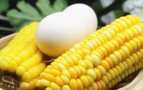 科学补脑,哪些食物对大脑好?