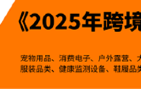 任小姐出海战略咨询|避开巨头竞争,中国跨境卖家智能家居破局之道
