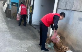 平安产险磐安支公司：垃圾清理志愿服务 守护整洁宜居环境